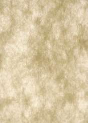 3980116 Faservlies 25cm/15m gold 