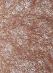 3980207 Metallicvlies 25cm/15m   kupfer 