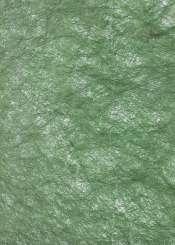 3980210 Metallicvlies 25cm/15m tannengrün 