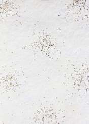 3980370 Papier Vlies 25cm/15m creme-gold 