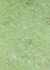 3980372 Papier Vlies  25cm/15m tannengrün-gold 