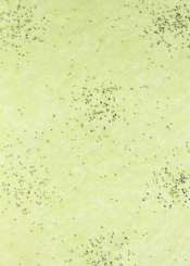 3980373 Papier Vlies 25cm/15m hellgrün-silber 