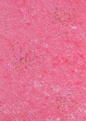 3980379 Pap.Vlies rot-gold   25cm/15m 