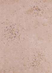 3980380 Papier Vlies 25cm/15m gold-gold 