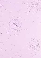 3980383 Papier Vlies 25cm/15m rosa-silber 