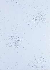 3980384 Papier Vlies   25cm/15m hellblau 