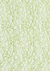 3980432 Vlies Crackle 28cm/15m apfelgrün 