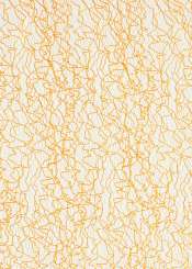 3980571 Vlies Crackle 50cm/10m  orange 