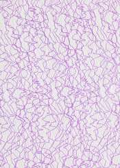 3980575 Vlies Crackle flieder 50cm/10m 