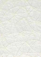 3983003 CREAweb 30cmx25m crème 