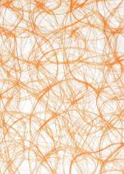 3983007 CREAweb 30cmx25m koralle/orange 