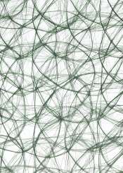 3983014 CREAweb 30cmx25m tannengrün 