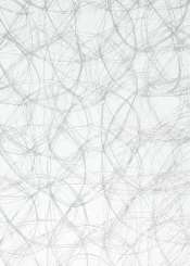 3983019 CREAweb 30cmx25m silber 