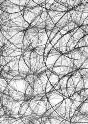 3983021 CREAweb 30cmx25m schwarz 