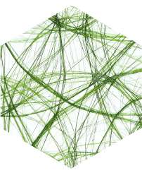 3983025 CREAweb 30cmx25m olive 