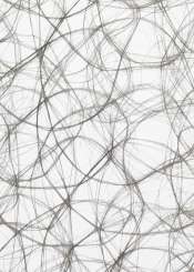 3983031 CREAweb 30cmx25m dunkelgrau 