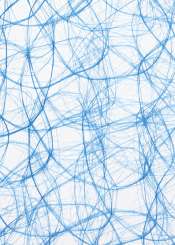 3983033 CREAweb 30cmx25m marineblau 