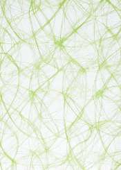 3983034 CREAweb 30cmx25m grün 