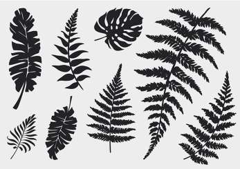 512425 Stempel Clear Blätter 2 