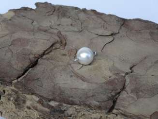 521412 Magnetverschluss D.15mm perlmutt matt 