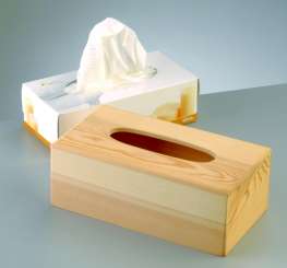 557506 Kleenexbox Holz roh 25 x 13,4 x H9cm 