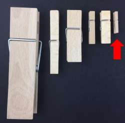 557941 Holzklammern montiert L30xB4mm 72St 