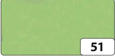 562980 Transparentpapier Rl. 70x100cm  hellgrün 