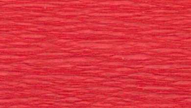 563440 Bastelkrepp 50x250cm rot 