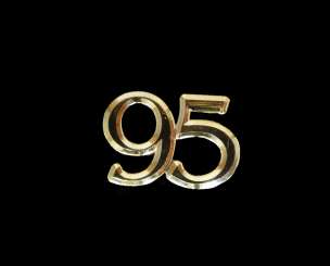 586495 Goldzahlen 16mm 95 50 Stk. 