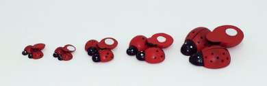 588088 Marienkäfer 12mm 100 St. 