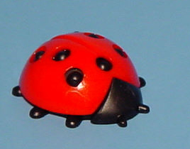 588112 Marienkäfer 20mm           50 St 