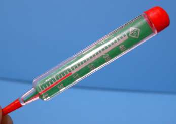 588220 Fiebermesser  8cm 