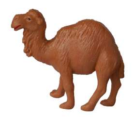 588305 Kamel 6cm/4.3cm 