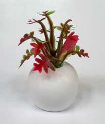 588923 Pflanze in Topf 3- 35mm 