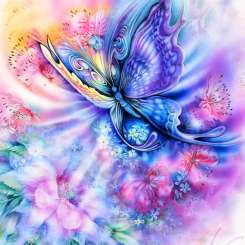 596007 Schmetterling lila 40x40cm 