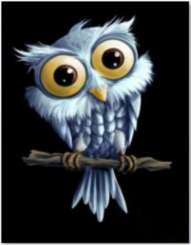 596009 Eule auf Ast 30x40cm 
