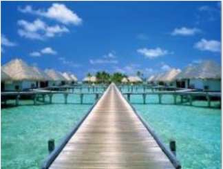 596012 Steg ins Meer 30x40cm 