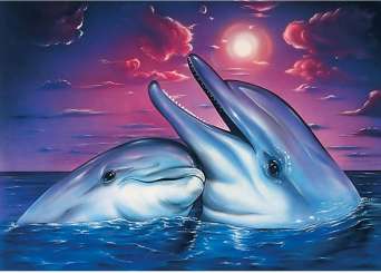 596016 Delfinpaar 30x40cm 