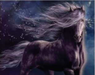 596027 Pferd mystisch 30x40cm 