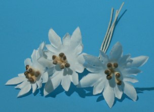 598199 Edelweiss (D.3.5cm) auf Draht 12Stk. 