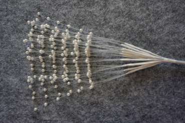 598831 Perlblüten weiss 12er Strauss 