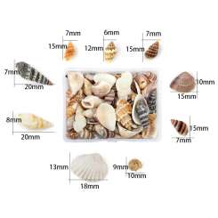 599959 Muscheln Mix 2 