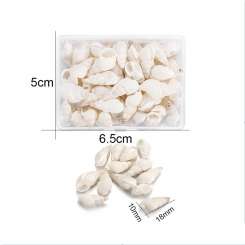 599961 Muscheln Schnecken weiss 