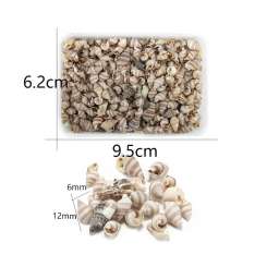 599965 Muscheln mini 