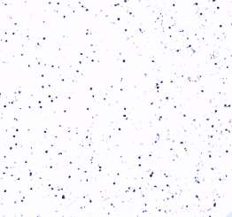 612708 Embossingpuder 10g Glitzer  weiss/ silber 