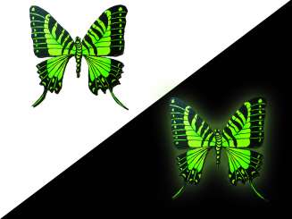 71551.31 Neon Nachtleuchtpigment 15g grün 