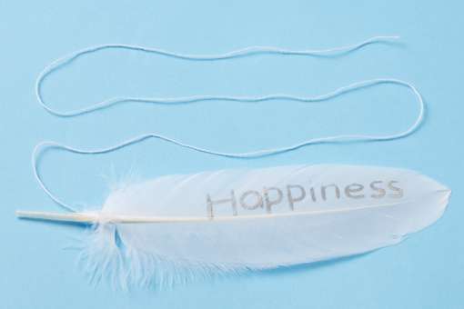 3190076 Federn 17cm 4St Happiness weiss 