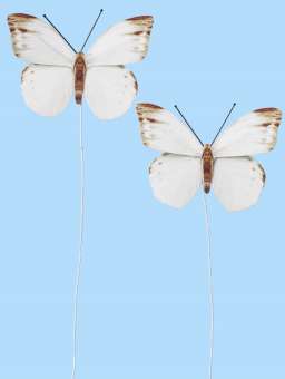 3864025 Schmetterling III,  2St. 