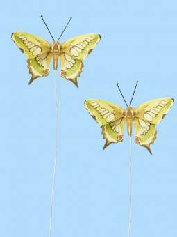 3864031 Schmetterling IX,  2St. 