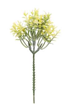 3865704 Blüten-pick II  15cm, gelb 